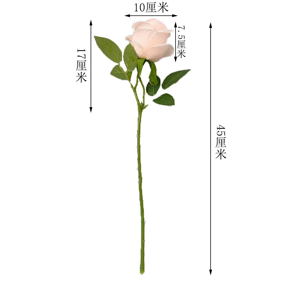 微信图片_20220308091311