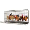 Jaula para Pollos Doméstica Grande Extra Grande Jaula para Ponedoras Jaula para Pollos Jaula de Cría Doméstica Gallinero con Limpieza Automática de Estiércol Jaula Plegable Jaula para Perros