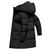 Chaqueta de plumón para hombre, otoño e invierno 2024, nueva chaqueta informal de negocios con capucha larga, chaqueta gruesa y cálida