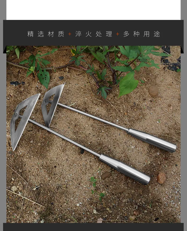 xq_08.jpg