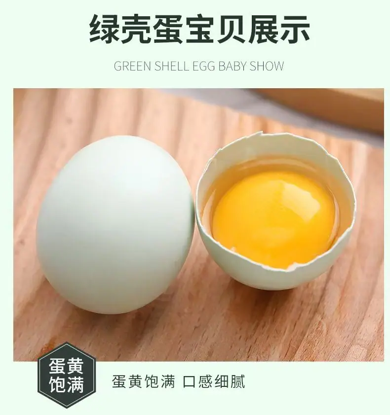河南南阳绿壳鸡蛋详情图5