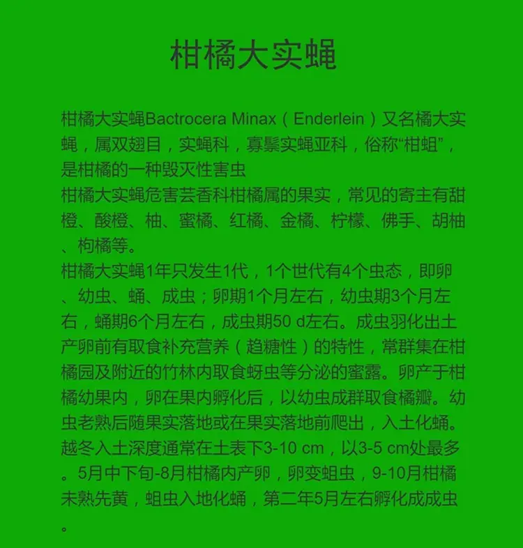 详情12.jpg