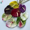 Anthurium Moderno Sin Rociado Goma Suave Palma Grulla de Fuego Flor de Centro Comercial Pared de Flores Paisajismo Flores Artificiales Arreglo Floral para Boda Flores Decorativas de Seda
