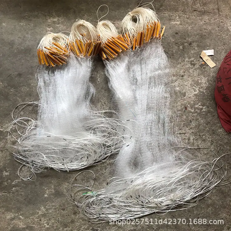 阿里9.jpg
