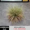 Nuevo Set de Bambú Artificial Nandina Estilo Pastoral para Paisajismo de Interiores, Decoración de Ventanas, Adornos de Plantas Verdes y Plantas Falsas