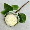 Decoração de Casa Retro Escandinava Flor Artificial Processo de Feltro à Mão Material de Seda de Fruta Sakyamuni Flor Artificial Decoração de Mesa