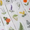 Cartão de Cumprimentos com Flor Seca em Relevo Cartão Postal com Decalque Artesanal Marcador de Página Espécime de Planta Folhas