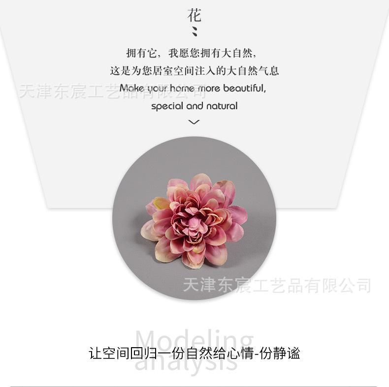 详情_05.jpg