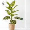Plantas Verdes Simuladas Estilo Nórdico Transfronterizo, Plantas Grandes en Maceta, Hojas de Cala, Bonsái Perenne de Pie para Exteriores