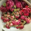 Rosa de flor seca de Yunnan rosa de cabeza múltiple rosa burbuja ramo de flor seca muebles de sala de estar accesorios de fotografía multicolor flores reales al por mayor