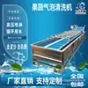 Máquina de limpeza de passas Daxing pulverização de alta pressão máquina de limpeza com bolhas de ameixa verde equipamento de processamento de limpeza de frutas e vegetais