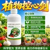 Control de Plantas Control de Corazón de Espada Agente Fuerte Agente Espesante Cultivo de Plantas Fuerte No Sobrecrecimiento Controlar Brotes No Controlar Fruta Promover Flores Hinchar Fruta Control Correcto Fuerte