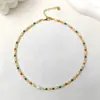 Novo colar de concha natural de nicho com pérolas de água doce, corrente de suéter de colar da moda de luxo leve, que combina com tudo