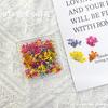 Nova pequena flor seca romântico floral unhas jóias pétalas fada estilo pastoral flor mista diy decoração de unhas