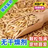 Avena con Cáscara para Hámsteres, Aves de Corral, Pollos y Patos; Avena Limpia, Libre de Impurezas a Granel, En Stock, Dropshipping, Mayoreo, Menudeo