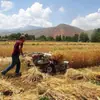 Fabricante de Máquina Cortadora y Empacadora Diésel, Máquina Todo en Uno para Cosecha y Empacado de Trigo y Arroz, Máquina Cortadora y Empacadora de Cuerda para Empacar, Cosechadora