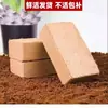 Venta directa de plántulas de fresa, semillas para maceta de fructificación todo el año, plántulas en cepellón, fresas Dandong de color crema extra grandes, Xuanyu