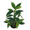 [Nueva venta especial] nuevo arreglo floral de cuatro horquillas con hojas de flor de osmanthus manualidad simulación hoja falsa decoración de rama única paisajismo de hotel