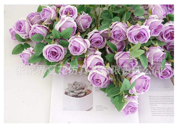 天使玫瑰_30.jpg