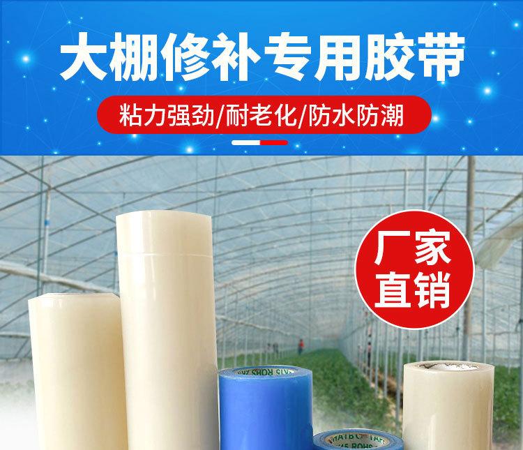 10米_01.jpg