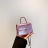Bolso Transfronterizo para Mujer Nuevo Patentado Indentado Cuero de Gin Gin Mini Pequeño Cuadrado Bolso de Mano para Niña Bolso Cruzado con Cadena Sobre Rojo