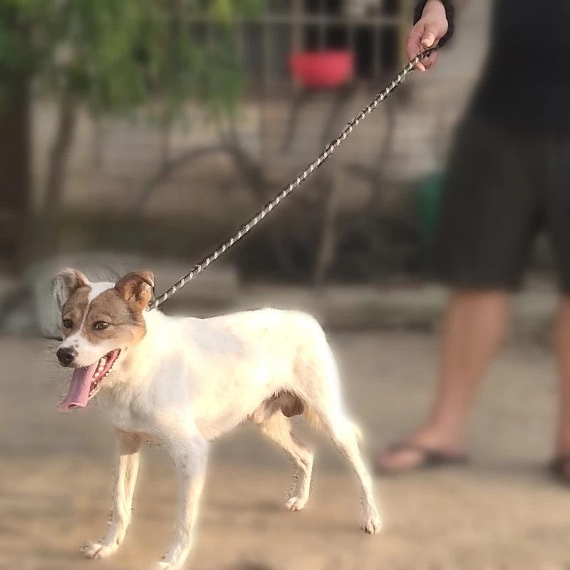 微信图片_20210408164451