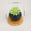 Set de plantas suculentas artificiales mini en maceta de plástico más vendido transfronterizo, plantas suculentas simuladas para decoración del hogar