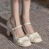 Zapatos de Mujer Mary Jane Tacones Altos Zapatos de Dama de Honor de Tacón Grueso Nuevos 2025 Versátiles para Uso Diario Zapatos Cómodos Primavera