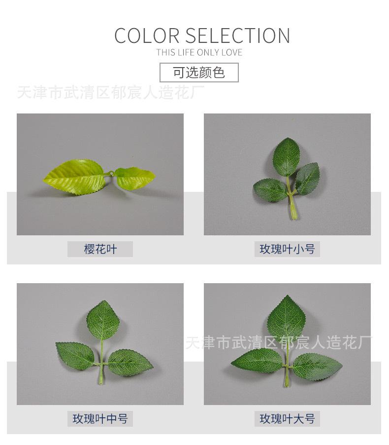 详情_02.jpg