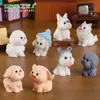Paisaje en miniatura, figuras de animales de cachorros creativas y lindas, decoraciones de caja sorpresa, accesorios para escritorios de oficina, piezas decorativas pequeñas