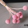 Venta al por mayor Bola Dorada Trompeta Flor Eterna Material Material Regalo de San Valentín Regalo de Cumpleaños DIY Regalo Creativo