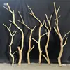 Galhos de Tronco, Galhos Secos, Suportes de Lâmpada, Enfeites para Material DIY, Galhos Decorativos de Madeira Morta, Arte para Paisagismo de Tronco