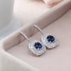 Brincos Europeus e Americanos Simples Atmosféricos Versáteis Cristal Deslumbrante Zircônia AAA Cravejada Elegantes Femininos Socialite Brincos de Luxo Leve