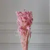 Flores de Mijo Conservadas Blancas, Flores de Mijo Secas, Venta al por Mayor desde Fabricante, Materiales para Uñas Hechas a Mano DIY