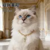 Novos Acessórios para Pets da Amazon, Coleiras para Gatos, Coleiras para Cachorros, Acessórios para Pets, Colares Dourados, Suprimentos para Pets no Atacado