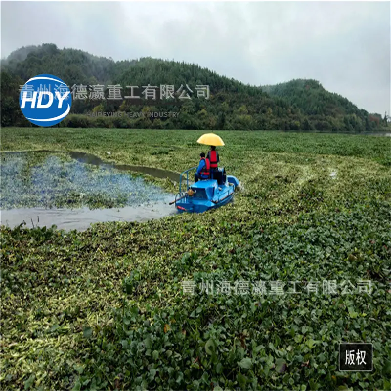2江西碎草船 (1).jpg