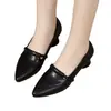 Zapatos populares de tacón grueso para mujer, nuevos zapatos de suela blanda otoño 2026, zapatos de cuero para mujer que no cansan los pies, zapatos tipo mom de caña baja