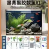 Acuario de Pez Arowana, Acuario de Cristal, Acuario de Escritorio, Filtro para Acuario, Acuario Pequeño para el Hogar, Acuario de Oficina, Acuario de Espalda Negra