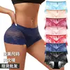 Ropa Interior de Encaje Triangular para Mujer de Comercio Exterior Transfronterizo, Estilo Puro y Ligero, de Tiro Bajo, Ropa Interior Sexy y Tentadora al por Mayor 9008