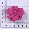 Accesorios de Resina para Manualidades de Dibujos Animados Joyería Transfronteriza Zuecos Flor Pinza de Pelo Hecha a Mano Funda para Teléfono Móvil Hebilla de Zapato Accesorios Venta al por Mayor