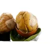 Ovos de Embrião de Frango Cozidos com Cinco Especiarias Picantes, Ovos Incubados de 13 Dias, Ovos Sem Penugem, Ovos Temperados, Ovos Não Peludos, Atacado Transfronteiriço