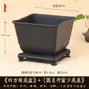 Vaso Quadrado Criativo Planta Suculenta Árvore da Fortuna Bonsai Jardinagem Especial Vaso de Flor de Resina Vaso de Plástico Simples