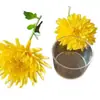 Carcasa de Plástico Ignífugo para Vela de Té, Taza de Vela de Té, Portavelas, Taza de PC, Carcasa de Plástico LED, Taza para Velas de Té