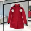 Tesoura Pequena Casaco de Penas 01 Feminino Inverno Slim Comprimento Médio Gola de Pelo de Raposa Etiqueta Dourada Casaco de Penas de Alce