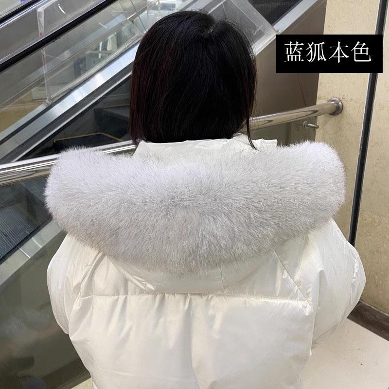 蓝狐本色.jpg