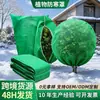 Fundas protectoras contra heladas para plantas transfronterizas, fundas de red protectora contra heladas para plantas no tejidas multiespecificación, fundas de aislamiento y protección contra heladas para jardinería al por mayor de fábrica