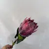 Flor Imperial Sul-Africana Simulada, Agrupamento de Flores Simuladas, Material de Flor Imperial Elegante Grande, Decoração Suave para Casamento e Casa, Exportação Exportação