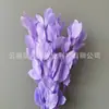 Arranjo de flores eternas folha laranja com ramos de folhagem, materiais florais DIY com toque de alta qualidade, atacado de fabricante de Yunnan, decoração de flores eternas