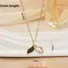 Collar de Zirconia Cola de Pez de Lujo Ligero Gama Alta para Mujer Diseño de Nicho Temperamento de Gama Alta Estilo Fresco Cadena para Clavícula de Acero de Titanio Venta al por Mayor