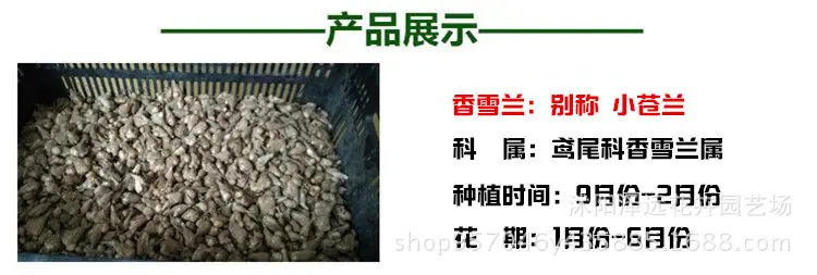 ⁮描述1
